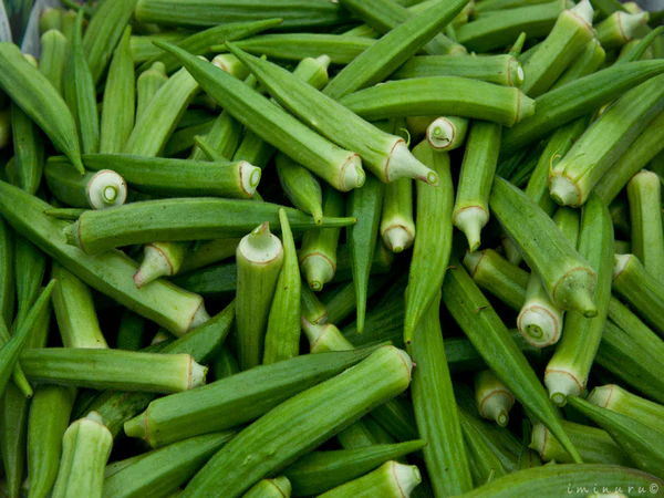 Lady Finger (Bhindi) - Dev Tandoor Industries